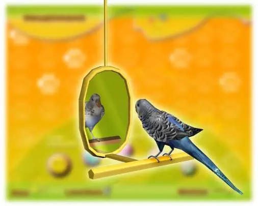 Mi Hotel para Mascotas