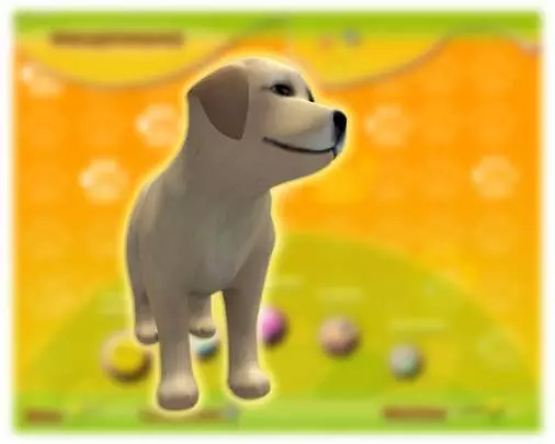 Mi Hotel para Mascotas