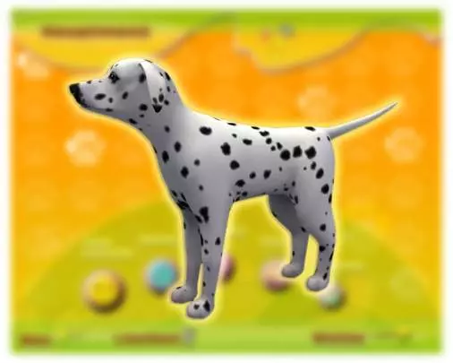 Mi Hotel para Mascotas