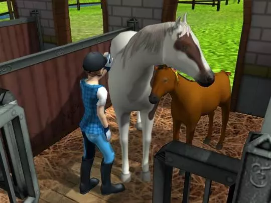 Mi Hotel para Mascotas