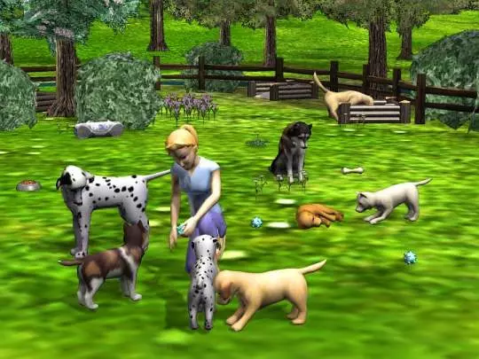 Mi Hotel para Mascotas