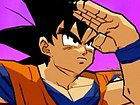 Dragon Ball Z: Infinite World