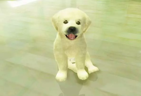 Animalz Sports Dogz - Wii