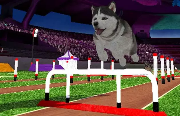 Animalz Sports Dogz - Wii