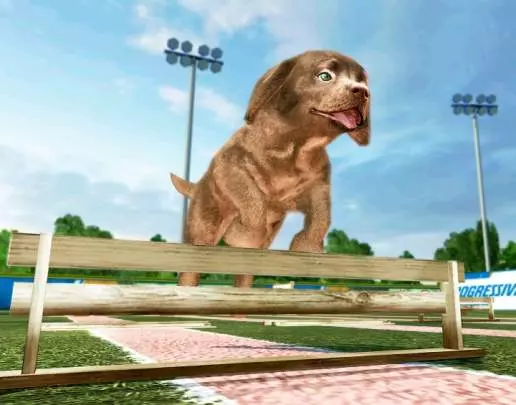 Animalz Sports: Dogz