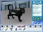 Imagina ser Veterinaria en tu clínica - Imagen PC