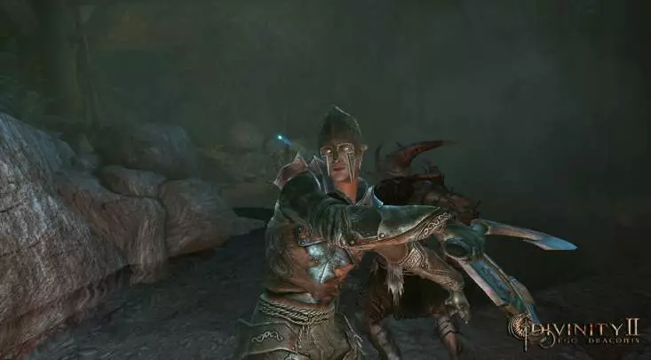 Divinity 2: Ego Draconis