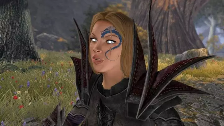 Divinity 2 Ego Draconis