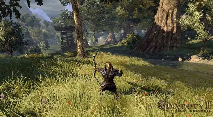 Divinity 2 Ego Draconis - PC