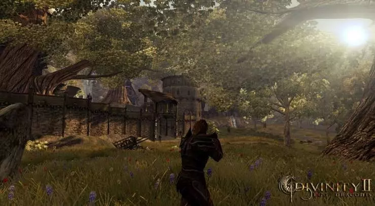 Divinity 2 Ego Draconis