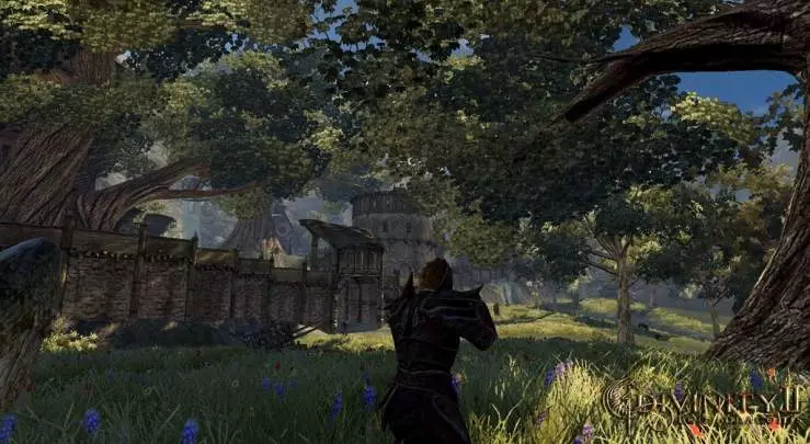 Divinity 2: Ego Draconis