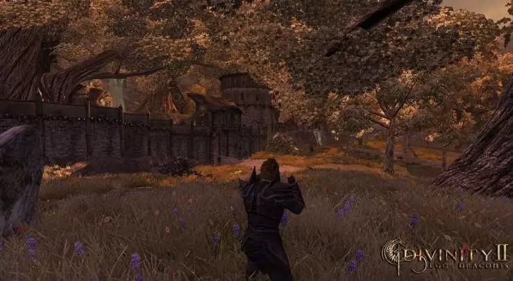Divinity 2 Ego Draconis