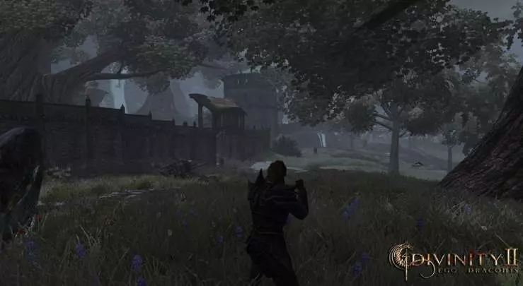 Divinity 2: Ego Draconis
