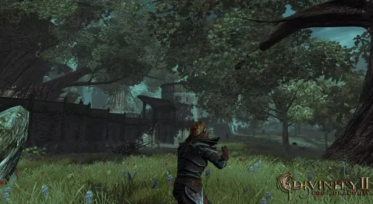 Divinity 2 Ego Draconis