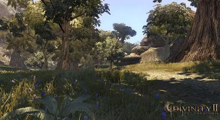 Divinity 2: Ego Draconis