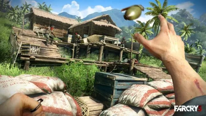 Far Cry 3