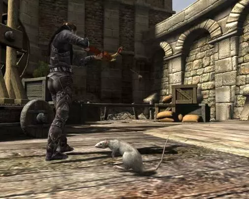 Beltion Beyond Ritual