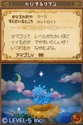 Ni no Kuni The Another World - DS