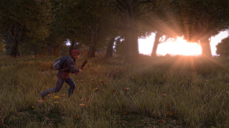 DayZ (Bohemia Interactive).