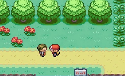 Esta generación coincidió en el tiempo con Game Boy Advance (GBA), que permitía una representación encantadora de personajes y escenarios. Supuso otro salto importante en la saga.