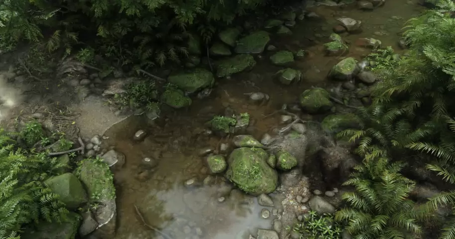 ¿Es Crysis algo más que gráficos bonitos? Te contamos si el shooter de Crytek merece remaster ahora