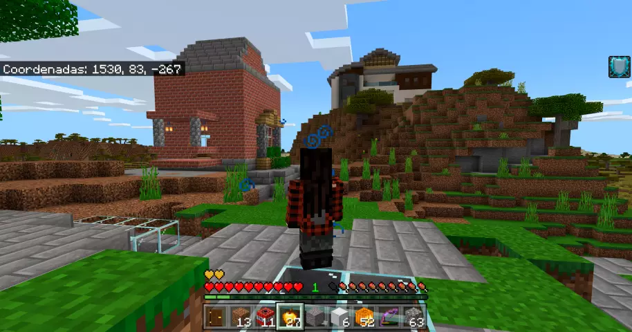No podíamos salir de casa, así que creamos nuestro propio mundo en Minecraft