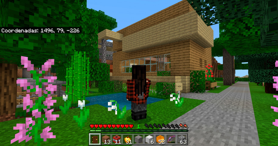No podíamos salir de casa, así que creamos nuestro propio mundo en Minecraft