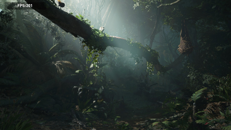 Shadow of the Tomb Raider, 1080p Ultra.
