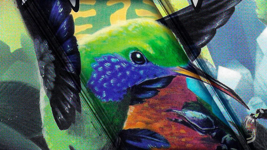 Ecco the Dolphin: sexo, drogas y delfines. "¿Quién quiere ser un p**o pez?"