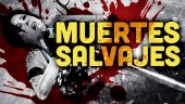 20 personajes de videojuego que lo pasaron realmente mal en estas brutales animaciones de game over