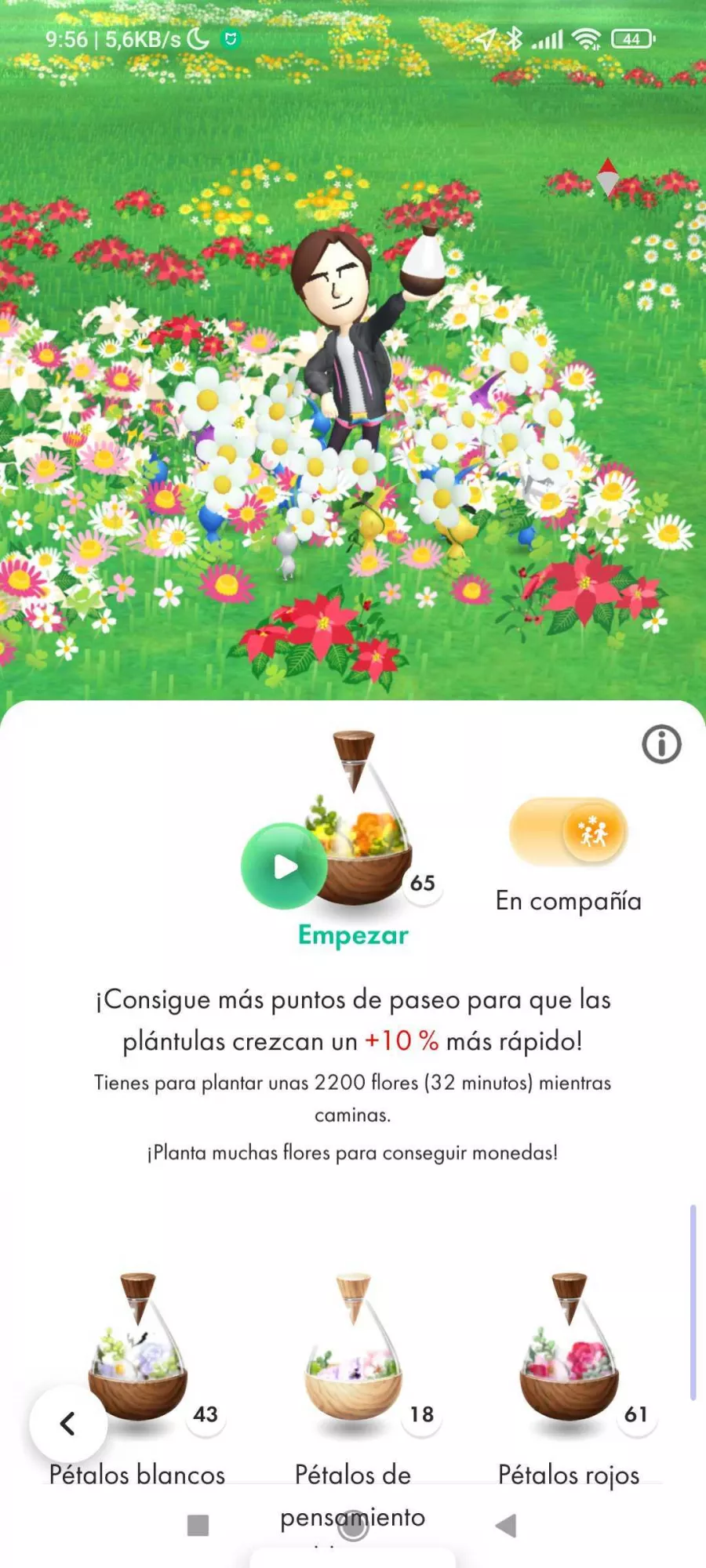 Uno de los aspectos más satisfactorios es contemplar cómo florece tu entorno.
