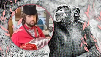 Los intrusos en el videojuego: El síndrome de la casa árbol