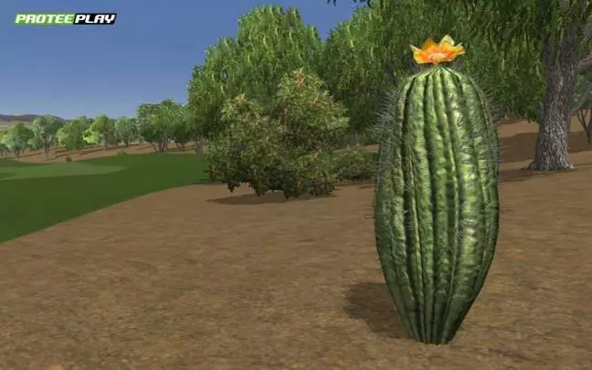 Protee Play 2009 - PC