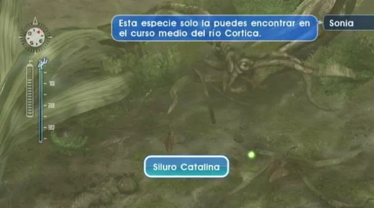 Endless Ocean 2 - Wii