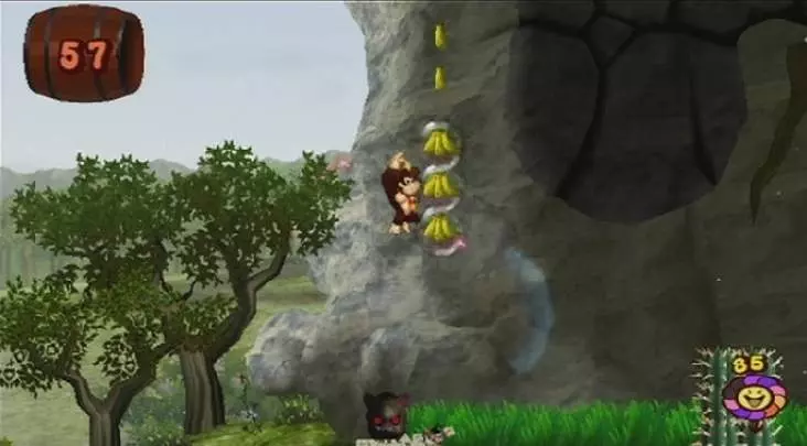 Donkey Kong Jungle Beat