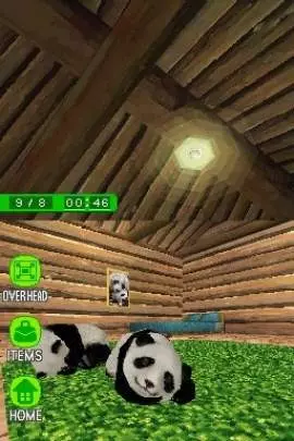 National Geographic Panda