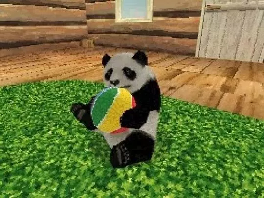 National Geographic Panda - DS