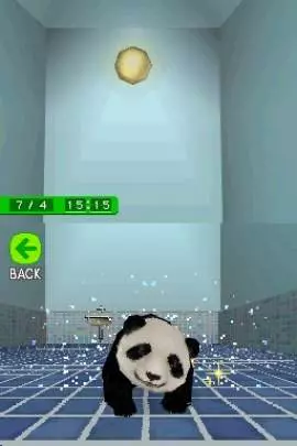 National Geographic Panda