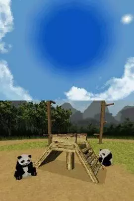 National Geographic Panda