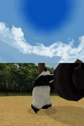 National Geographic Panda