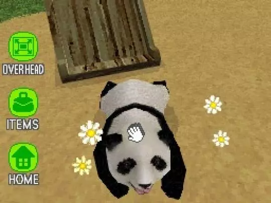 National Geographic Panda - DS