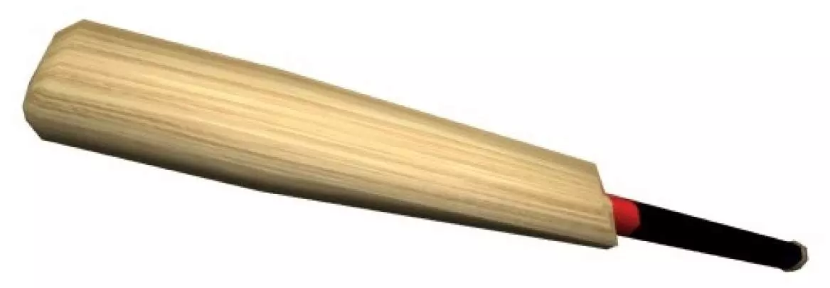 Burn Zombie Burn! - PS3