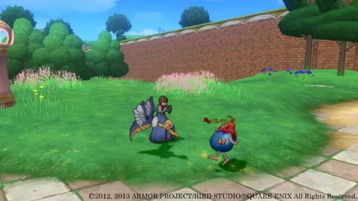 Dragon Quest X - Wii