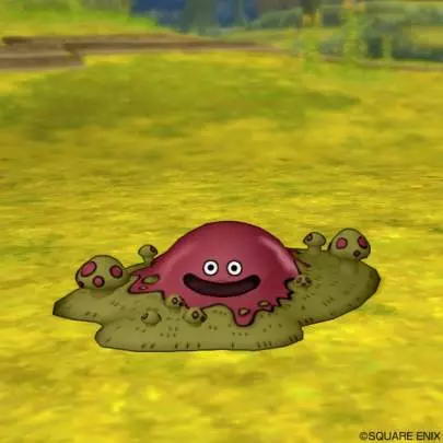 Dragon Quest X