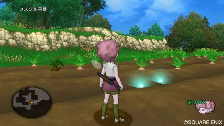 Dragon Quest X - Wii