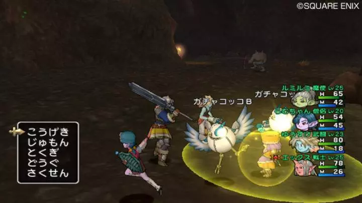 Dragon Quest X - Wii