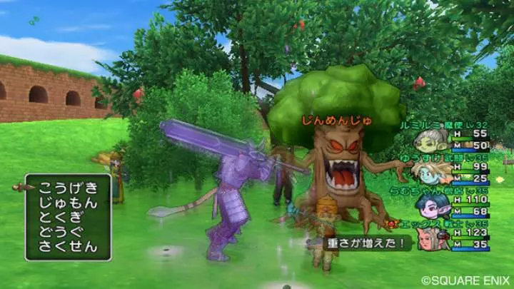 Dragon Quest X - Wii