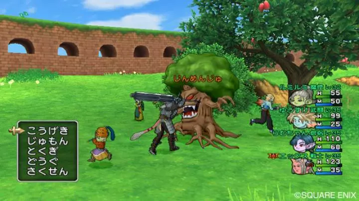 Dragon Quest X