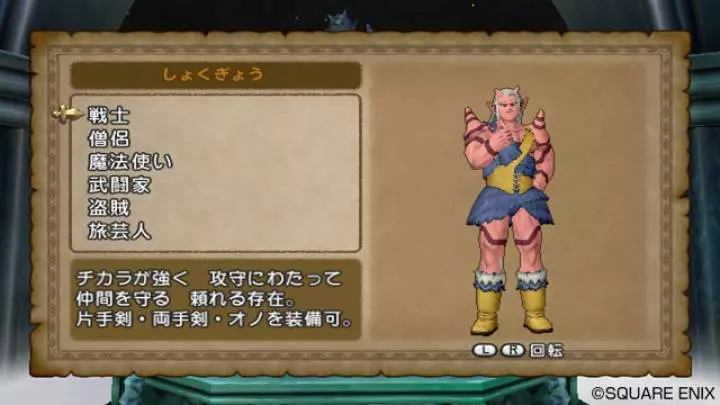 Dragon Quest X - Wii