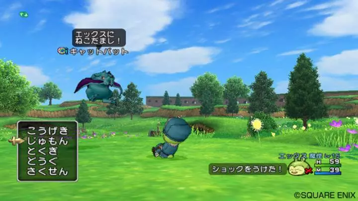 Dragon Quest X